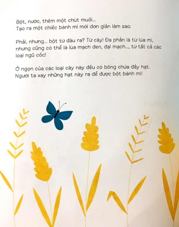 Hình 13 Combo Biết tuốt về đồ ăn