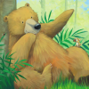 Hình 4 Combo Cùng Gấu khám phá – The Bear Books