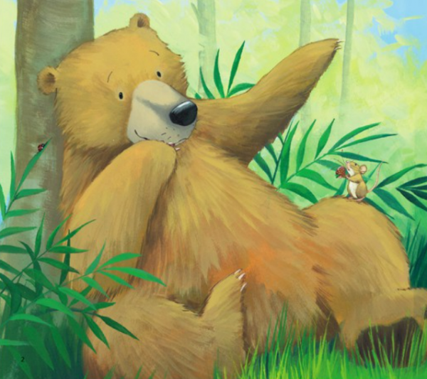 Hình 4 Combo Cùng Gấu khám phá – The Bear Books