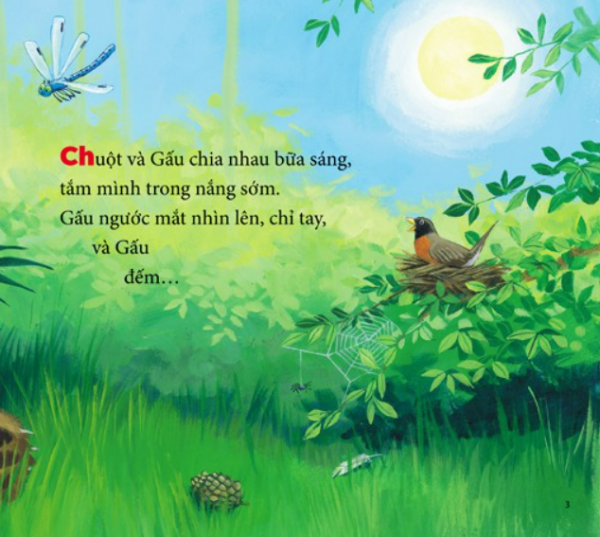 Hình 5 Combo Cùng Gấu khám phá – The Bear Books