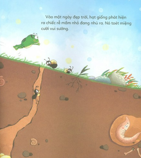 Hình 7 Combo Bé Khám Phá Khoa Học Qua Truyện Đồng Thoại – Thực Vật Diệu Kì