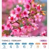 F2032015-14D0-46B4-9854-2A9FE17A28FE