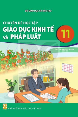 Chuyên đề học tập Giáo dục kinh tế và pháp luật 11 - Kết nối tri thức với cuộc sống