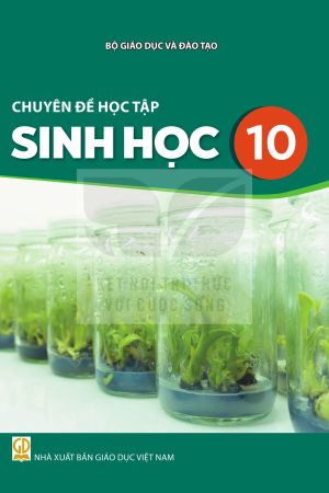 Chuyên Đề Học Tập Sinh Học 10 - Kết nối tri thức với cuộc sống