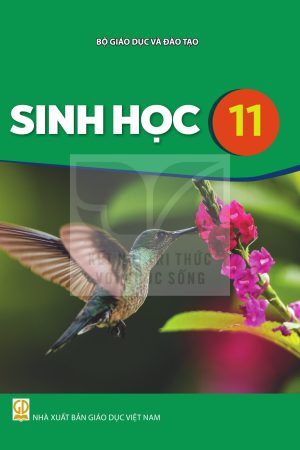 Sinh học 11 - Kết nối tri thức với cuộc sống